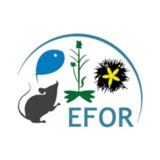 logo_efor